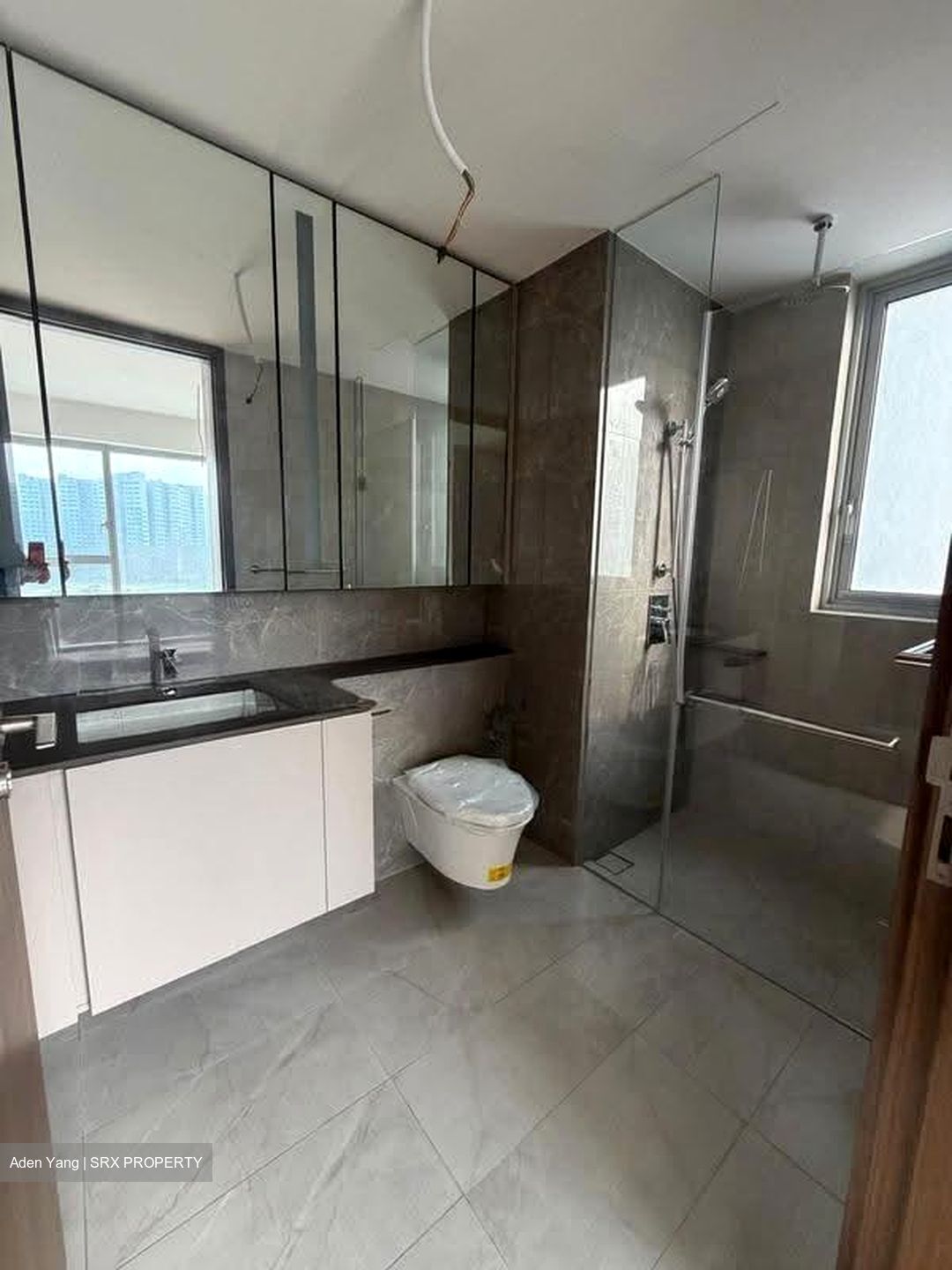 Grand Dunman (D15), Apartment #623981931